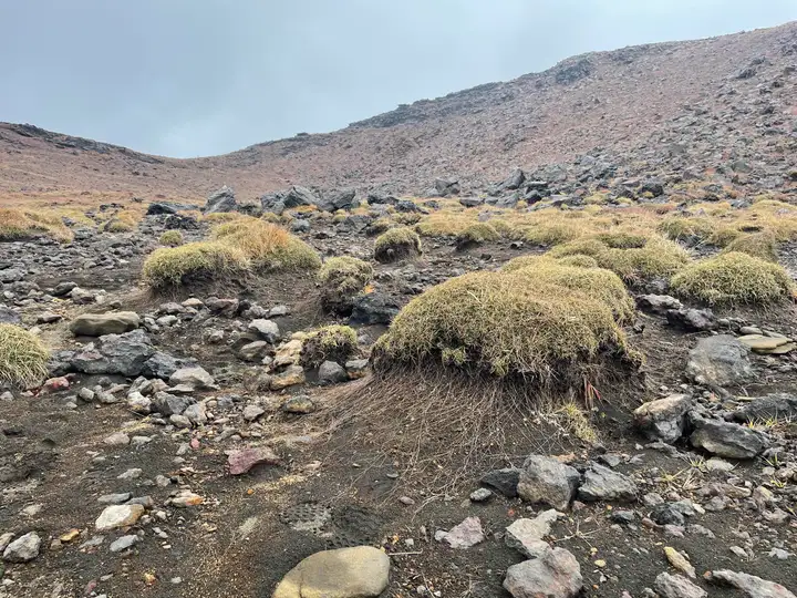 View along Aso area hiking trails, near Nakadake and Takadake peaks