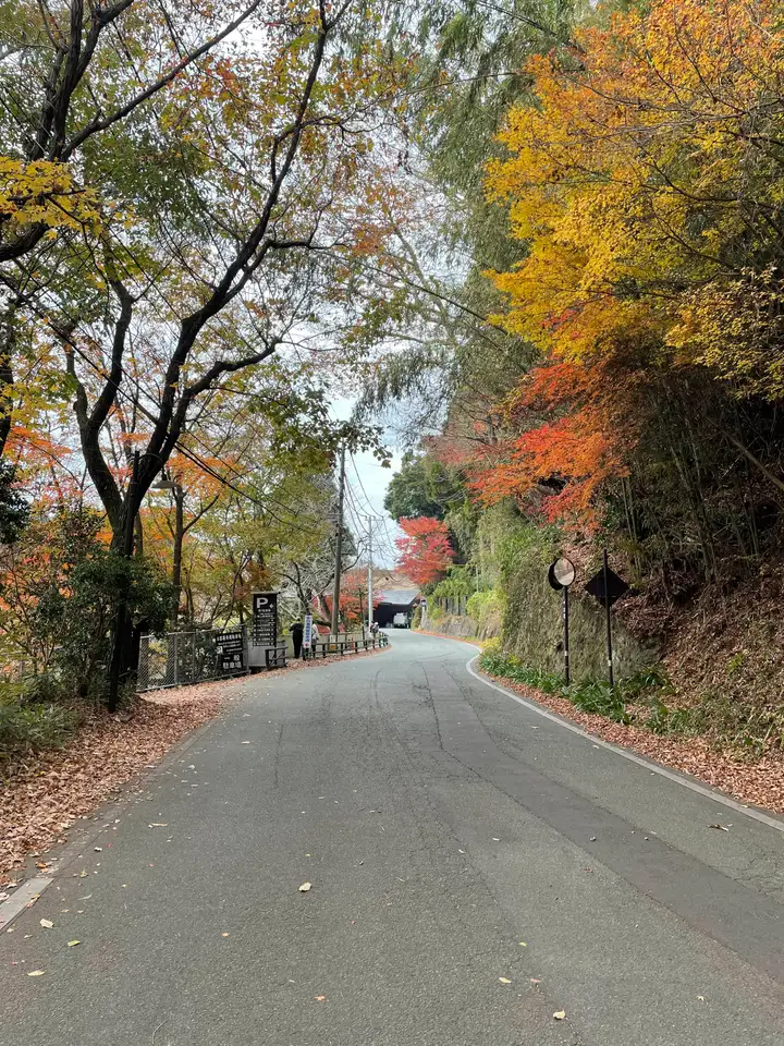 Autumn leaves in Kurokawa