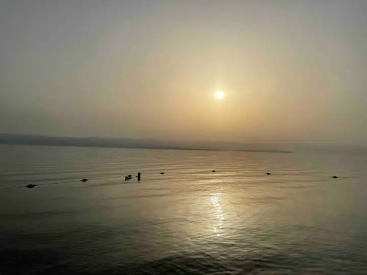 Floating in Dead Sea