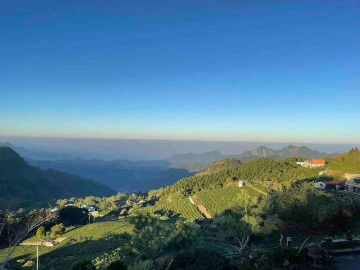 Alishan morning