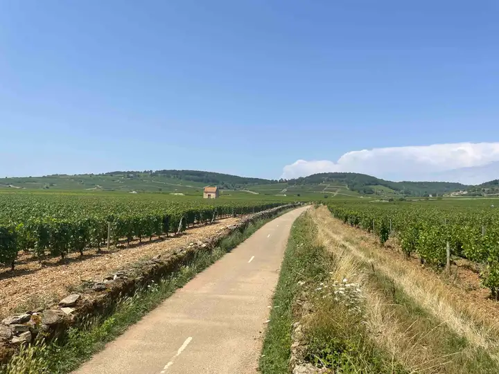 Voie des Vignes path