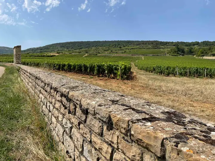 Voie des Vignes fence