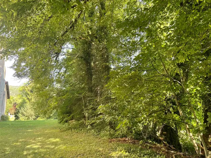  Chateau de Maillat grounds