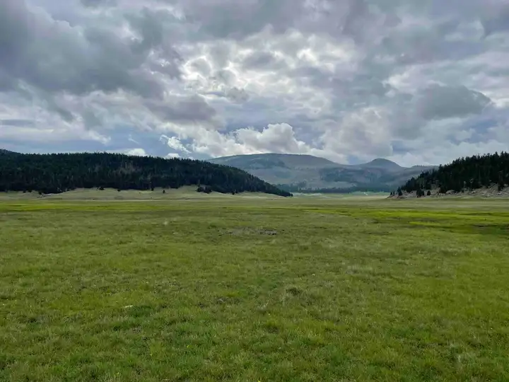 Valles Calderas from inside park