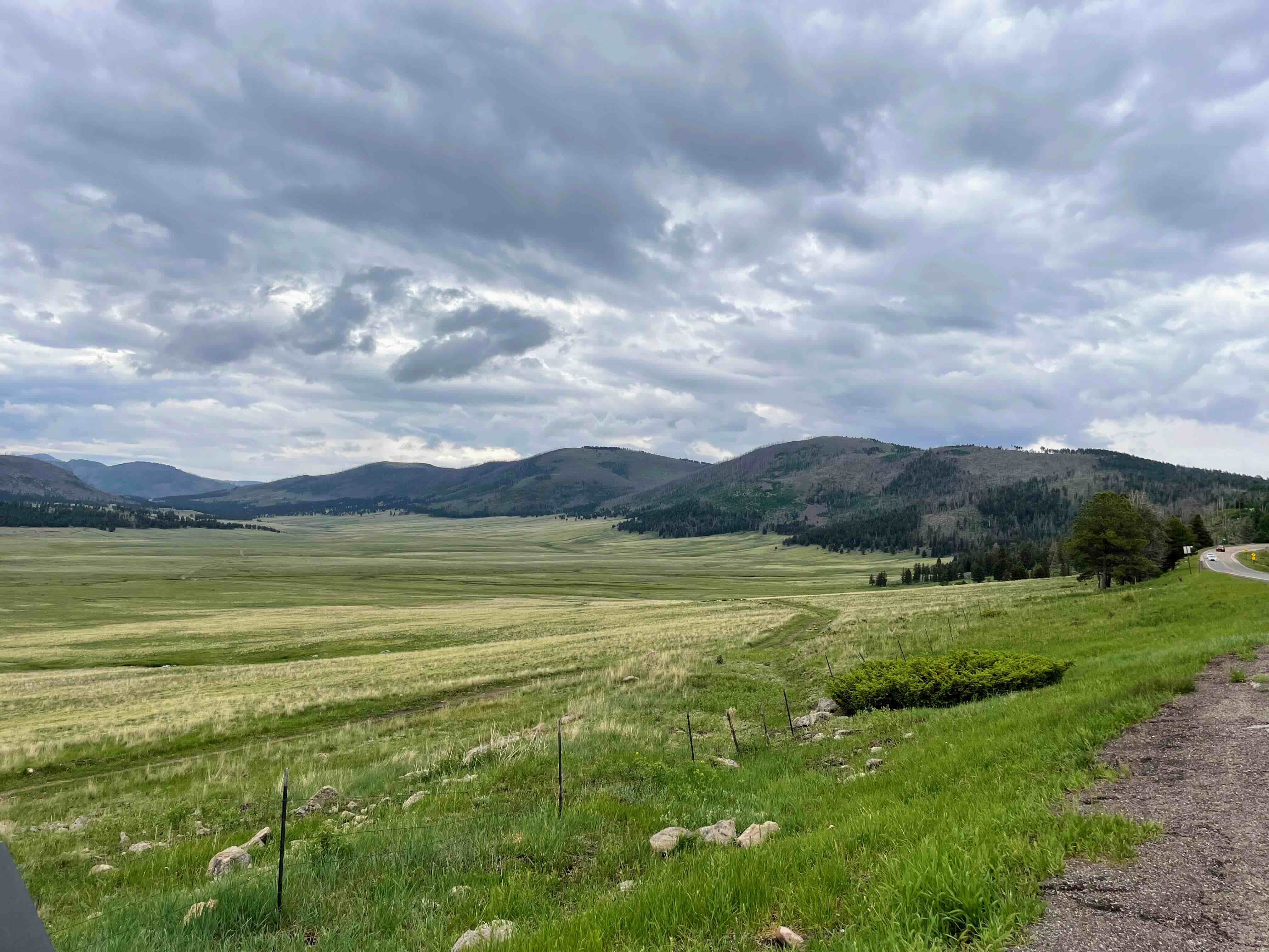 Valles Calderas from highway overlook