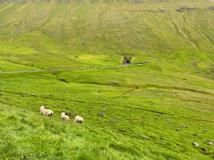 Kalsoy in Faroe Islands
