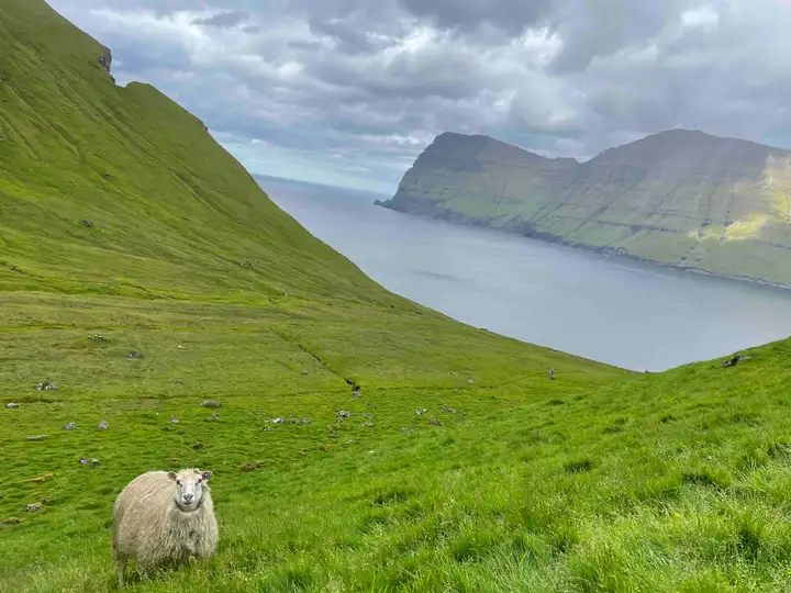 Kalsoy in Faroe Islands